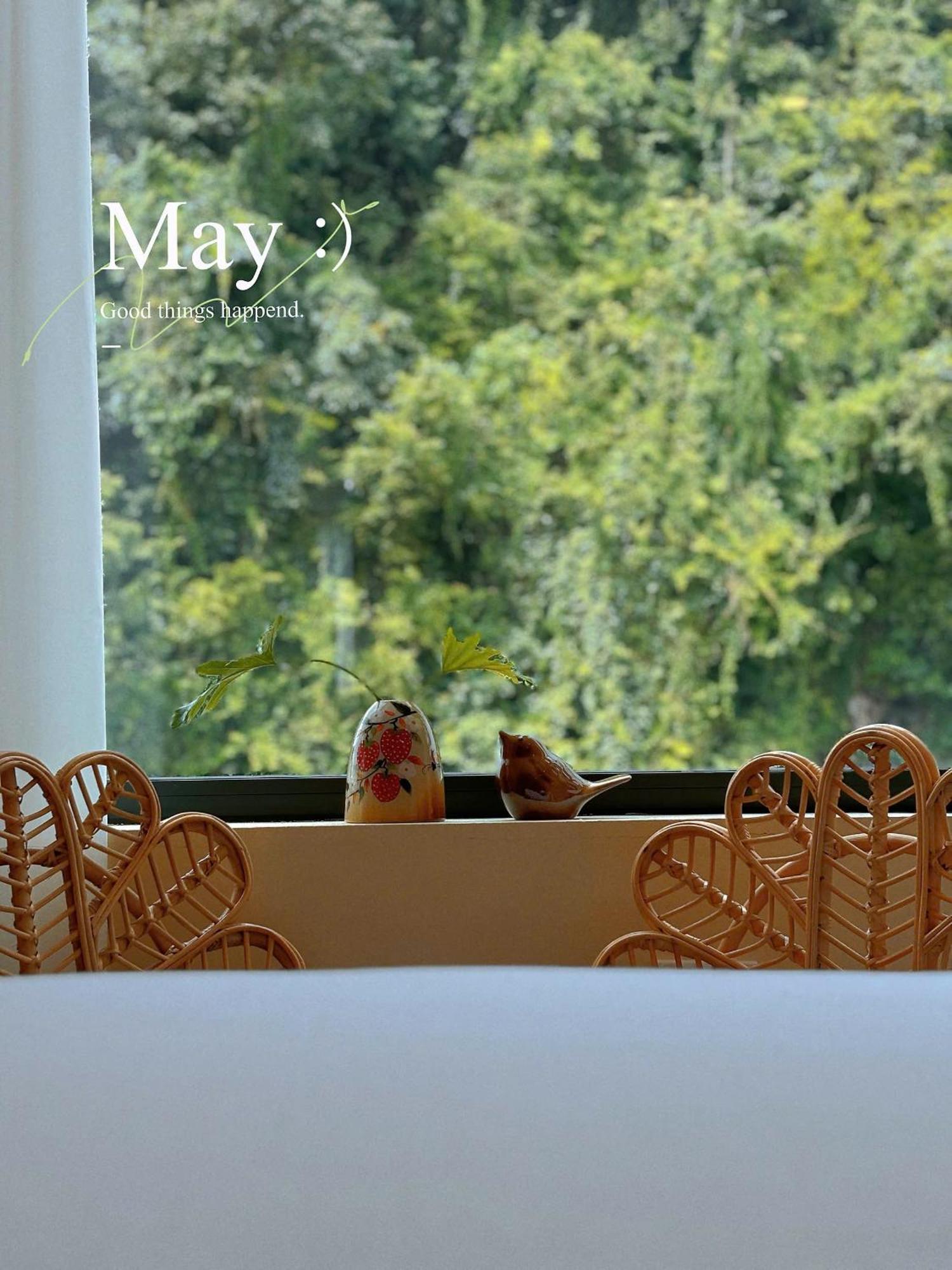 Truong Giang Boutique Hotel Lang Mon エクステリア 写真